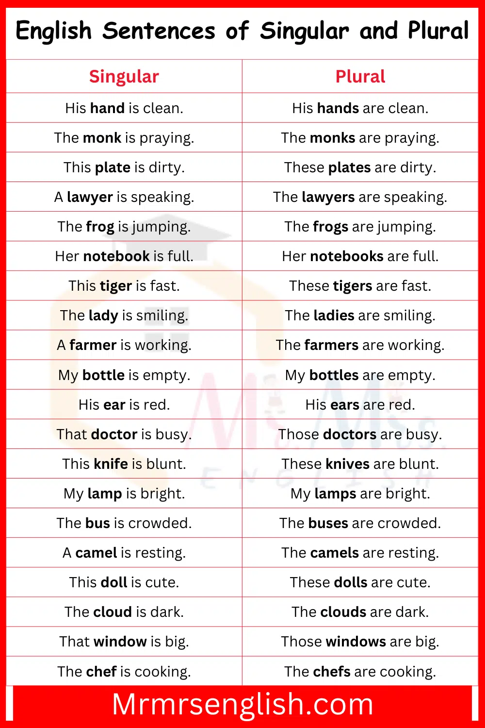 100 Examples of Singular and Plural in English - MR MRS ENGLISH