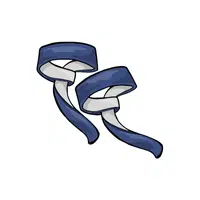 Lifting Straps | Gym Accessory Name in English