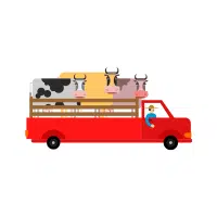 Livestock Truck