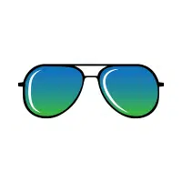 Polarized Sunglasses
