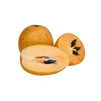 Sapodilla | S letter Things Names in English