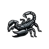 Scorpion | things for kids