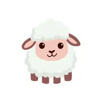 Sheep | things for kids