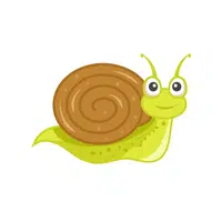 Snail | things for kids