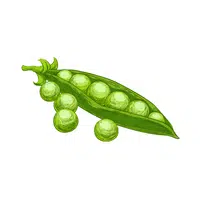 Snow Pea | things for kids