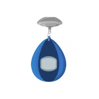 Speed Bag | Gym Accessories Names in English