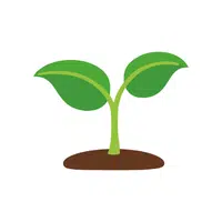 Sprout | things for kids