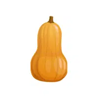 Squash | things for kids