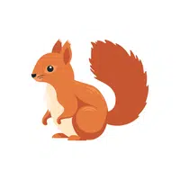 Squirrel | things for kids
