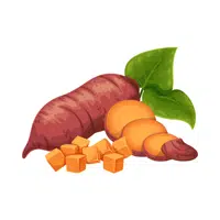 Sweet Potato | S letter Things Names in English