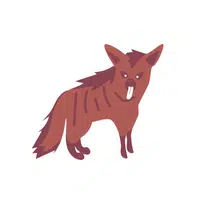 Aardwolf | Wild Animals Names in English