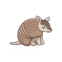 Armadillo | Wild Animals Names in English