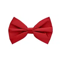 Bow Tie | Accessories Names in English