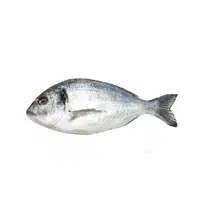 Bream