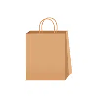 Brown Kraft Paper Bag | Types of Shopping bags name