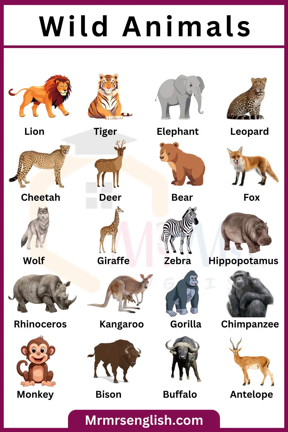Common Wild Animals Names with Pictures