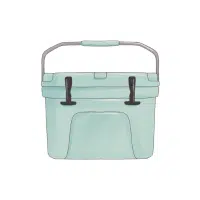 Cooler Shopping Bag | Types of Shopping bags name