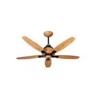 Decorative Fan | Types of Fans Names in English