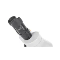 Diopter Adjustment | Microscope parts names in English