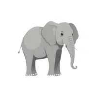 Elephant | Wild Animal Name in English