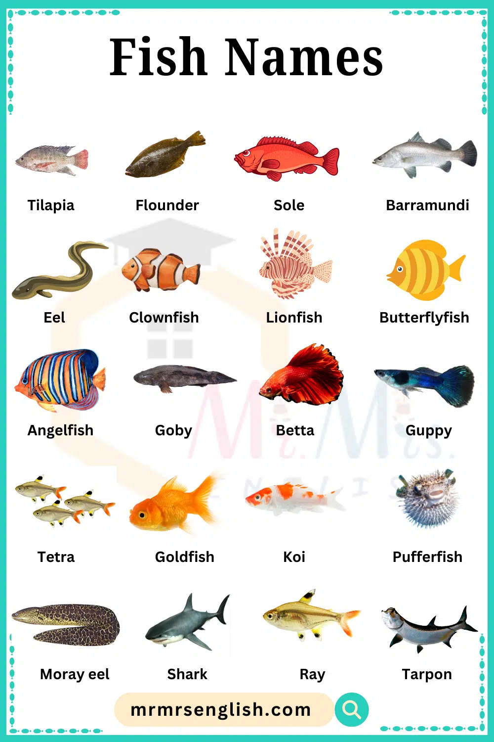 Fish Names in English with Pictures