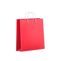 Gift Shopping Bag | Types of Shopping bags name