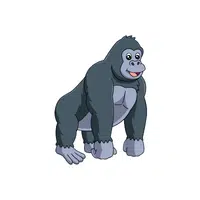 Gorilla | Wild Animal Name in English