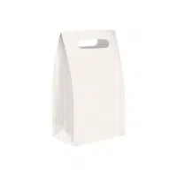 Gusseted Shopping Bag | Types of Shopping bags name