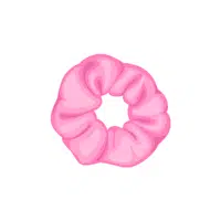 Hair Scrunchie