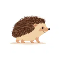 Hedgehog | Wild Animal Name in English