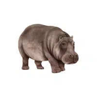 Hippopotamus | Wild Animal Name in English