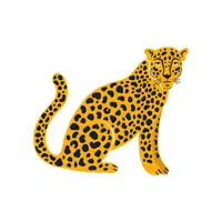 Jaguar | Wild Animal Name in English
