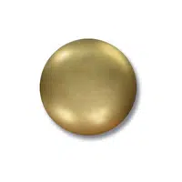 Lapel Pin