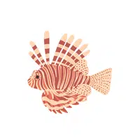 Lionfish