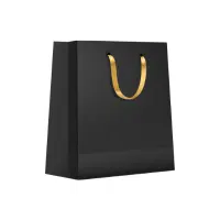 Luxury Paper Bag | Type of Shopping bag name