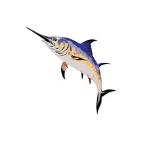 Marlin | Fish name in English