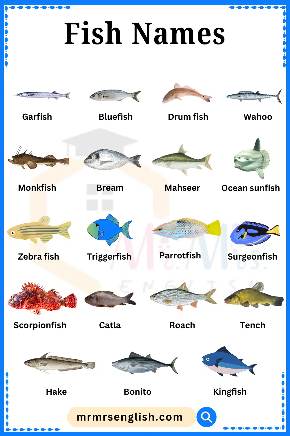 Most Popular Fish Names in English with Images