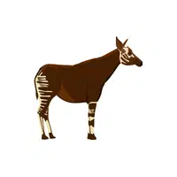 Okapi | Wild Animals Names in English