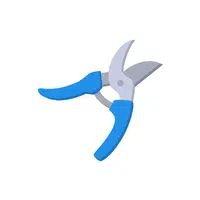 Pruning Scissors | Types of Scissors and Cutters names