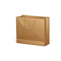 Rope Handle Paper Bag | Types of Shopping bags name