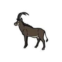 Sable | Wild Animal Name in English