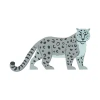 Snow Leopard | Wild Animals Names in English