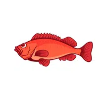 Sole | Fish names in English