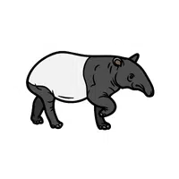 Tapir | Wild Animals Names in English