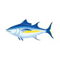 Tuna | Fish names in English