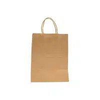 Twisted Handle Paper Bag | Types of Shopping bags name