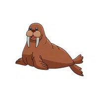 Walrus | Wild Animals Names in English