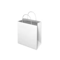 White Kraft Paper Bag | Types of Shopping bags name