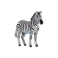 Zebra | Wild Animals Names in English