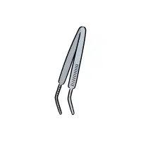 Babcock Forceps